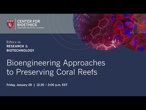 Enfoques de bioingeniería para preservar los arrecifes de coral