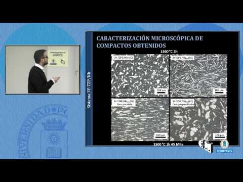 SFCM_09_16. Nuevos materiales cerámica/niobio con aplicaciones biomédicas