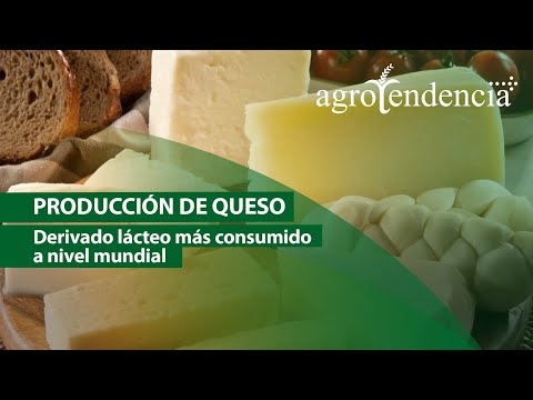 Producción de QUESO artesanal y semi industrial