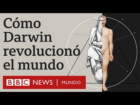 Evolución vs Dios: por qué la teoría de Darwin fue revolucionaria | BBC Mundo