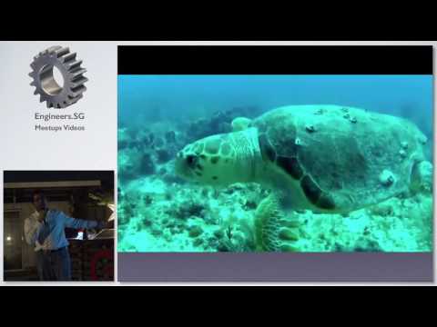Robots y sensores biomiméticos para exploración oceánica - Tech Tarik Ocean Exploration